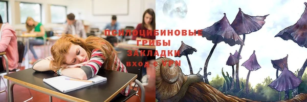 соль курить ск Алексеевка