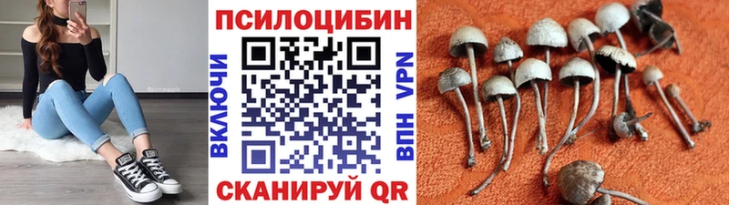 Галлюциногенные грибы Cubensis Вихоревка